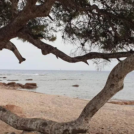 Διαμέρισμα Beautiful With Terrace - Saint-raphael