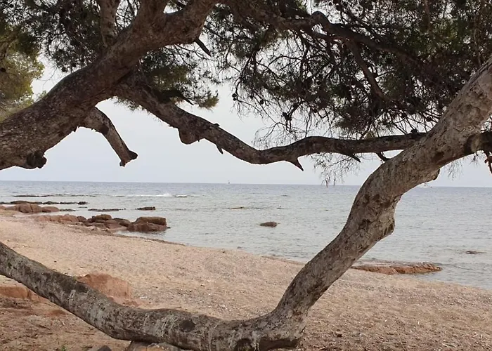 Апартаменты Beautiful With Terrace - Saint-raphael